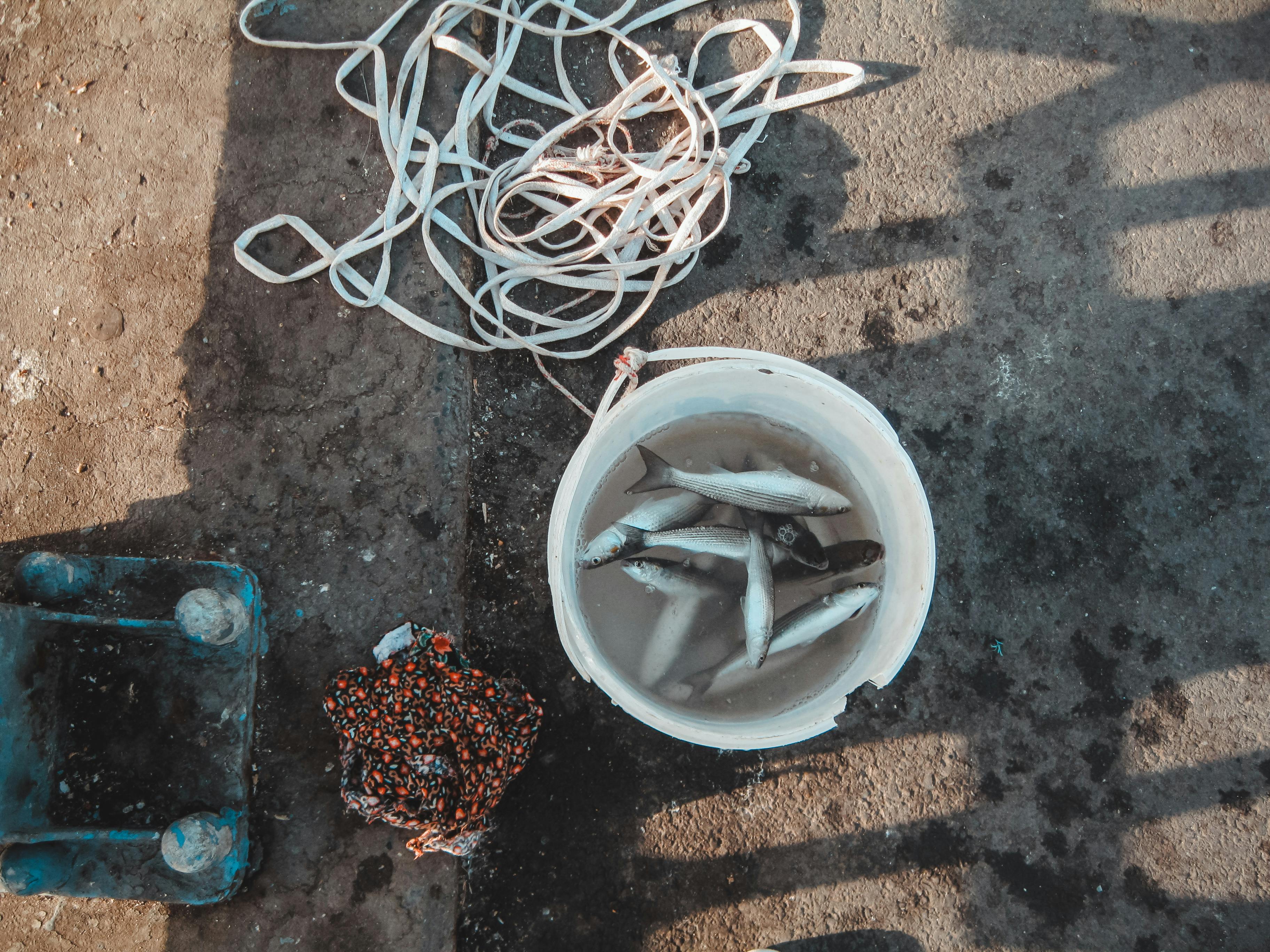 Marine Equipment & Supplies