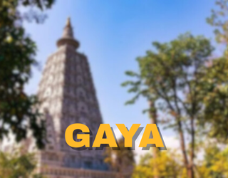Gaya