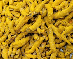 Finger Turmeric